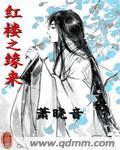红楼之缘来