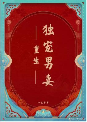 重生独宠男妻