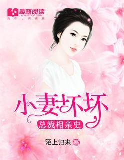 总裁相亲史:小妻坏坏