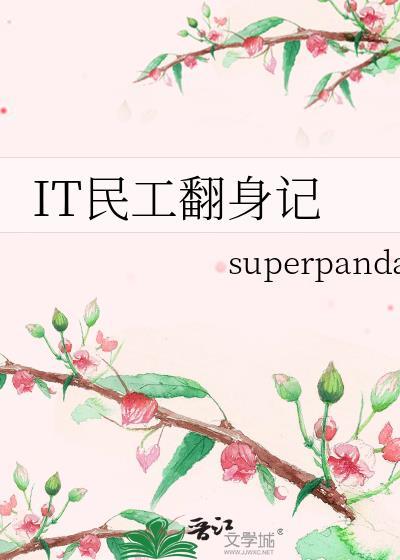 IT民工翻身记