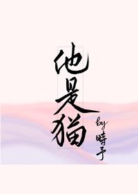 他是猫