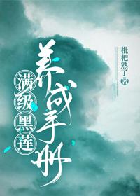 满级黑莲养成手册