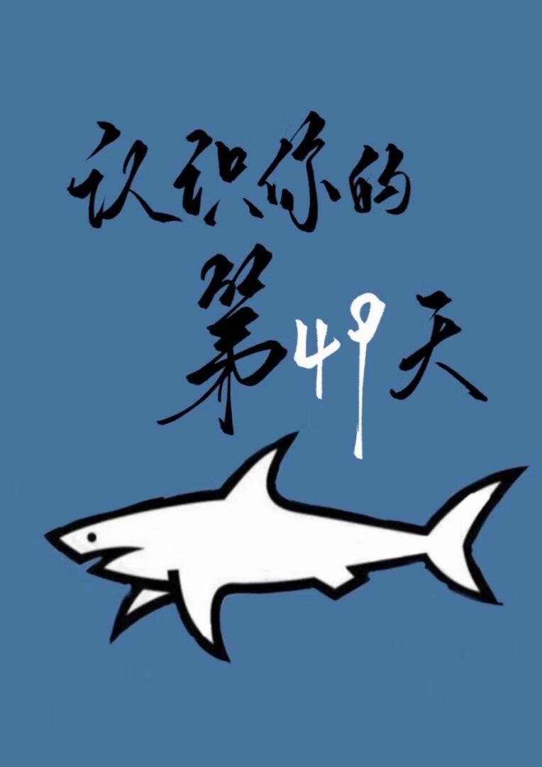 认识你的第49天