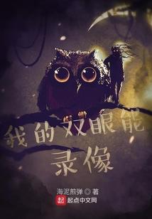 我的双眼能录像