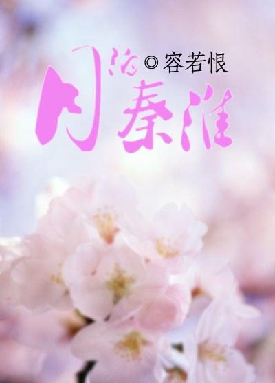 月泊秦淮