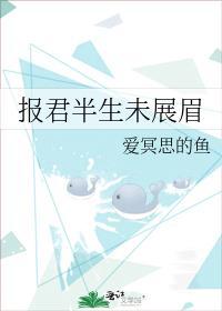 报君半生未展眉