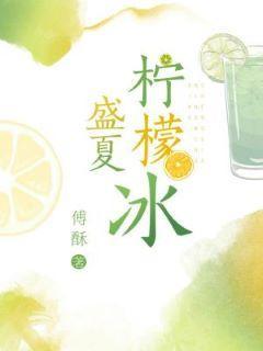 盛夏柠檬冰