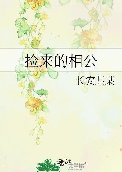 捡来的相公