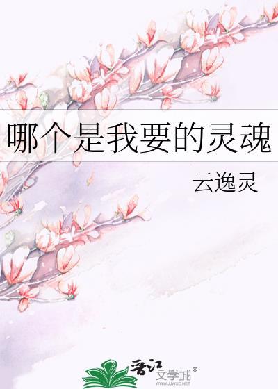 哪个是我要的灵魂