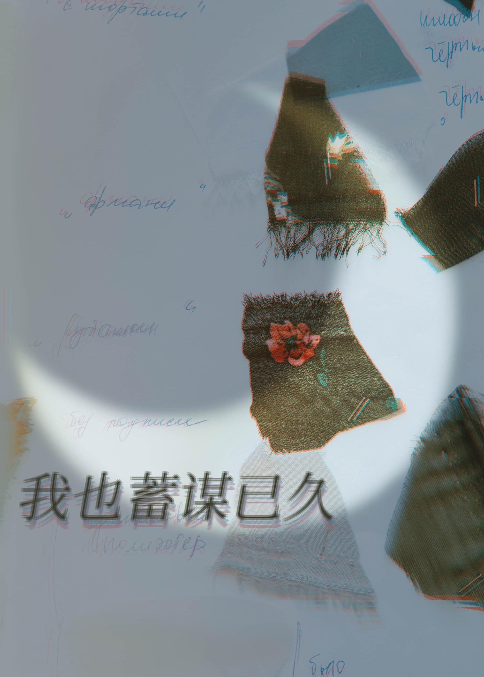 我也蓄谋已久