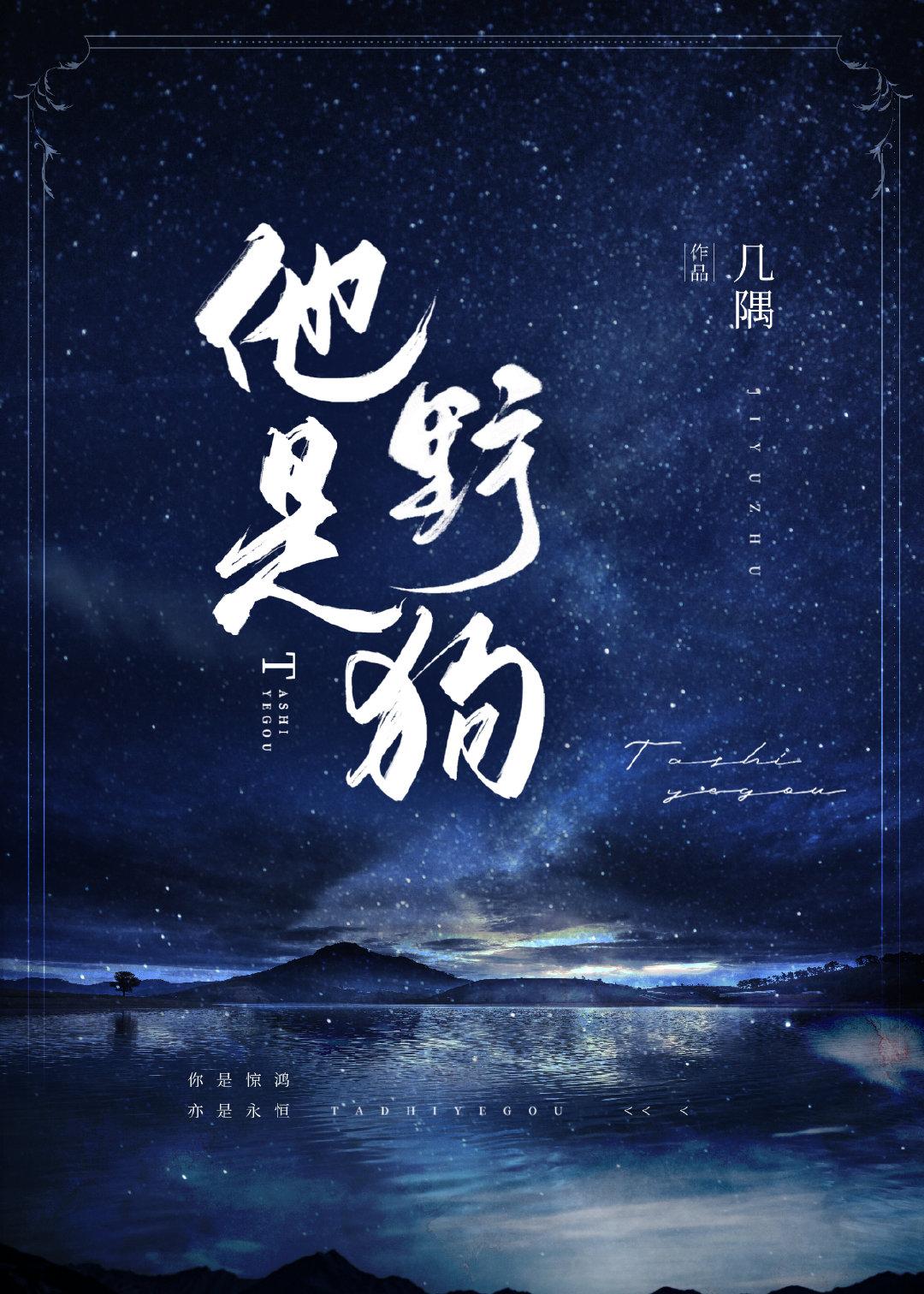 他是野狗