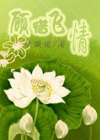 顾惜飞情