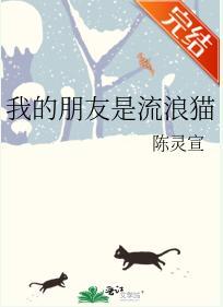 我的朋友是流浪猫